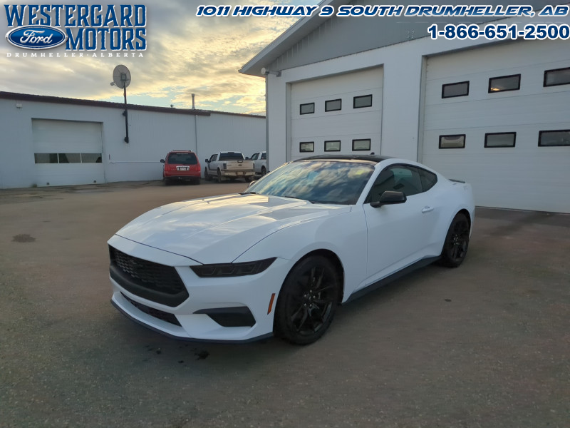 Used Coupe 2024 Ford Mustang P8T Oxford White