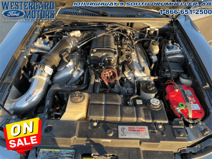 2003 Ford Mustang SVT COBRA CONVERTIBLE - Image 14
