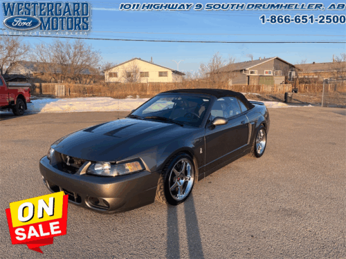 Used Convertible 2003 Ford Mustang SVT COBRA Carbonized Grey Metallic