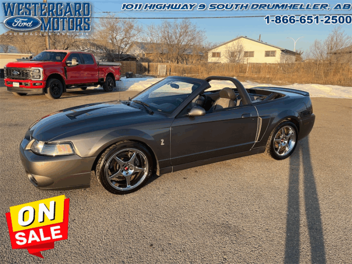 2003 Ford Mustang SVT COBRA CONVERTIBLE - Image 20