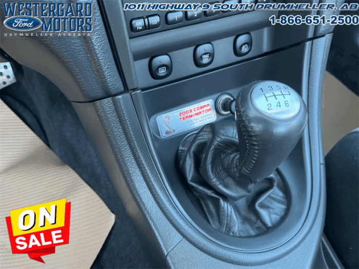 2003 Ford Mustang SVT COBRA CONVERTIBLE - Image 23