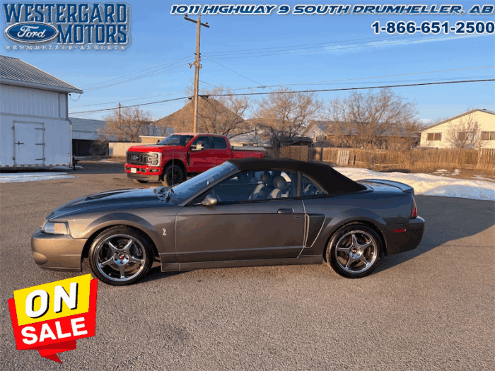 2003 Ford Mustang SVT COBRA CONVERTIBLE - Image 2