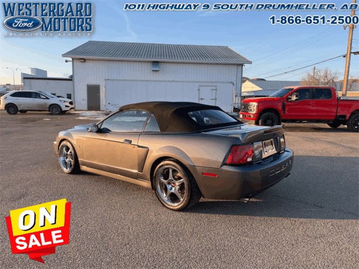 2003 Ford Mustang SVT COBRA CONVERTIBLE - Image 3