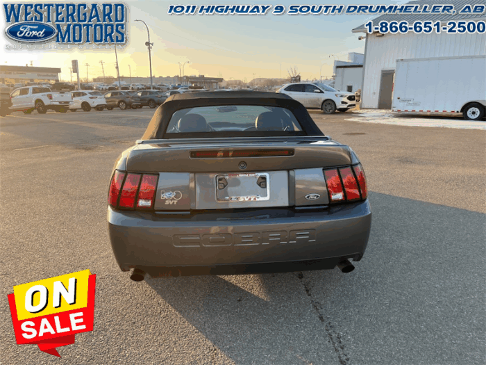 2003 Ford Mustang SVT COBRA CONVERTIBLE - Image 4