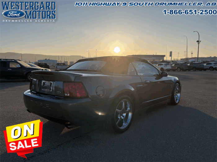 2003 Ford Mustang SVT COBRA CONVERTIBLE - Image 5