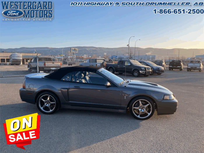 2003 Ford Mustang SVT COBRA CONVERTIBLE - Image 6