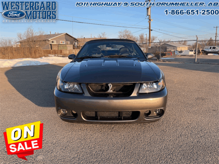 2003 Ford Mustang SVT COBRA CONVERTIBLE - Image 8