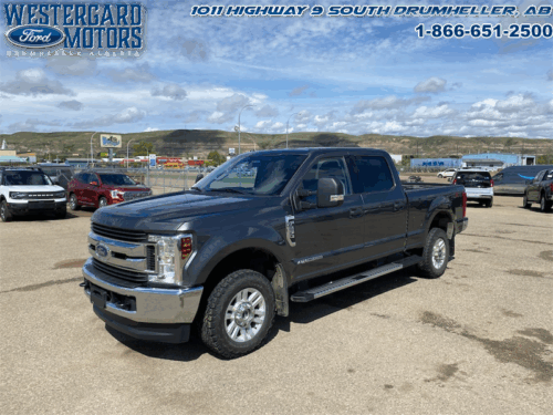 Used Crew Cab 2019 Ford F-250 Super Duty XLT Stone Gray