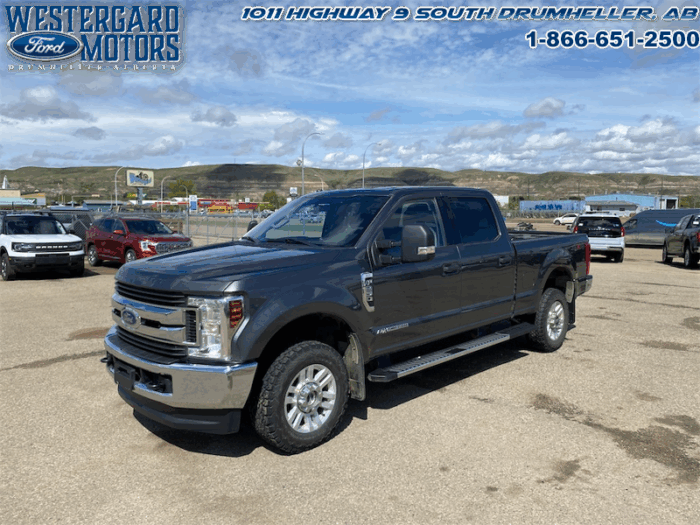 Used Crew Cab 2019 Ford F-250 Super Duty XLT Stone Gray
