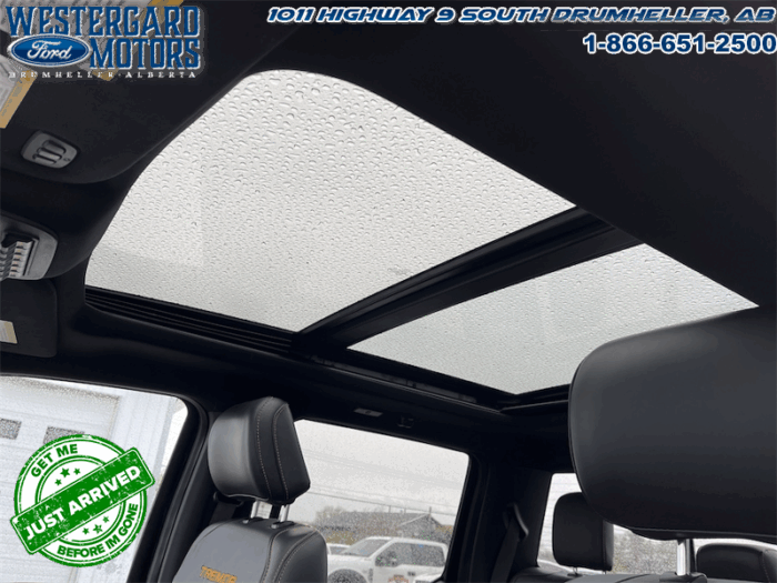 2023 Ford F-150 Tremor  -  Heated Seats - Image 21