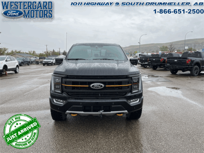 2023 Ford F-150 Tremor  -  Heated Seats - Image 8
