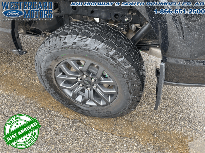 2023 Ford F-150 Tremor  -  Heated Seats - Image 17
