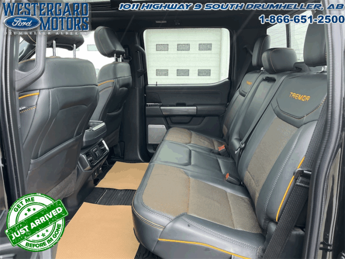 2023 Ford F-150 Tremor  -  Heated Seats - Image 10