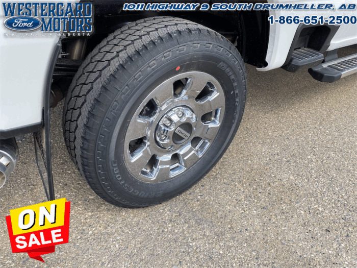 2025 Ford F-250 Super Duty LARIAT  - Mudflaps - Image 18