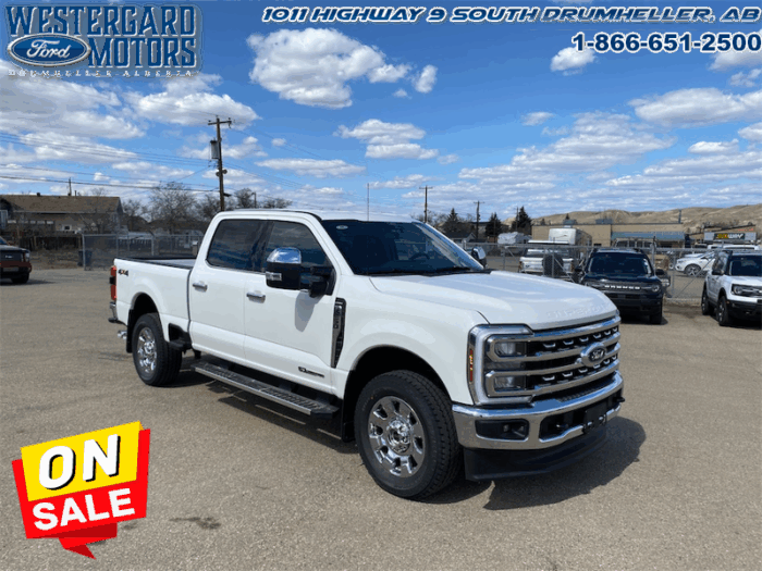 2025 Ford F-250 Super Duty LARIAT  - Mudflaps - Image 7