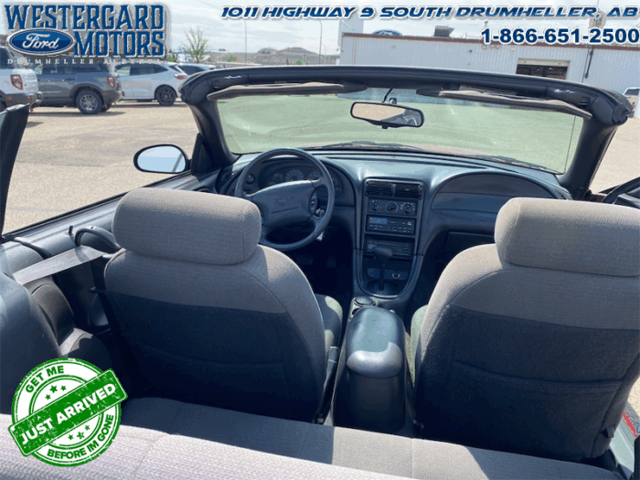 2000 Ford Mustang CONVERTIBLE  - Low Mileage - Image 14
