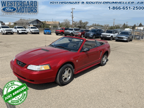 Used Convertible 2000 Ford Mustang CONVERTABLE Red