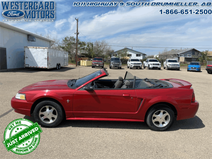 2000 Ford Mustang CONVERTIBLE  - Low Mileage - Image 2