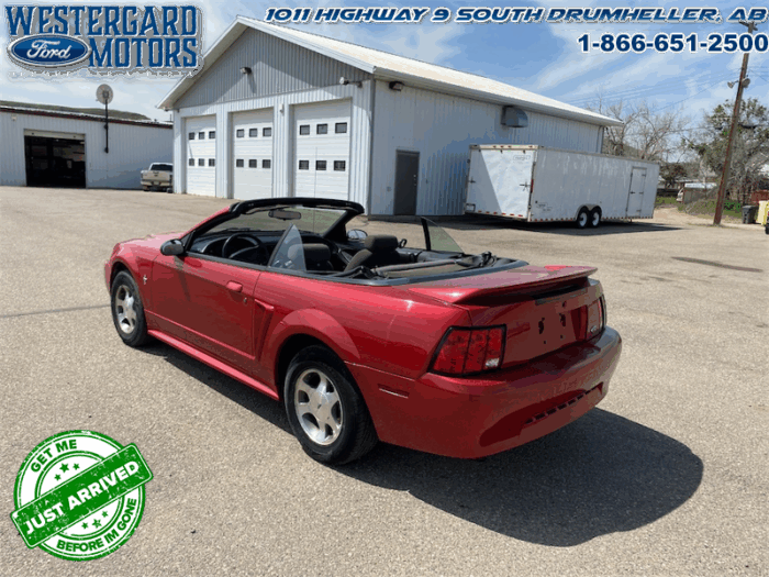 2000 Ford Mustang CONVERTIBLE  - Low Mileage - Image 3