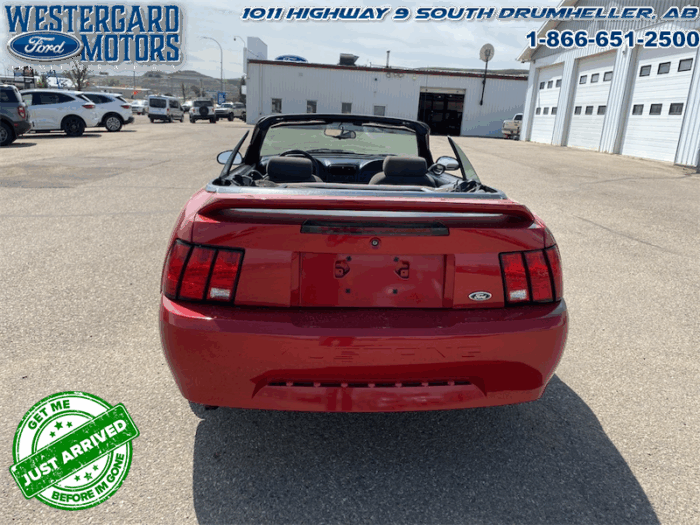 2000 Ford Mustang CONVERTIBLE  - Low Mileage - Image 4