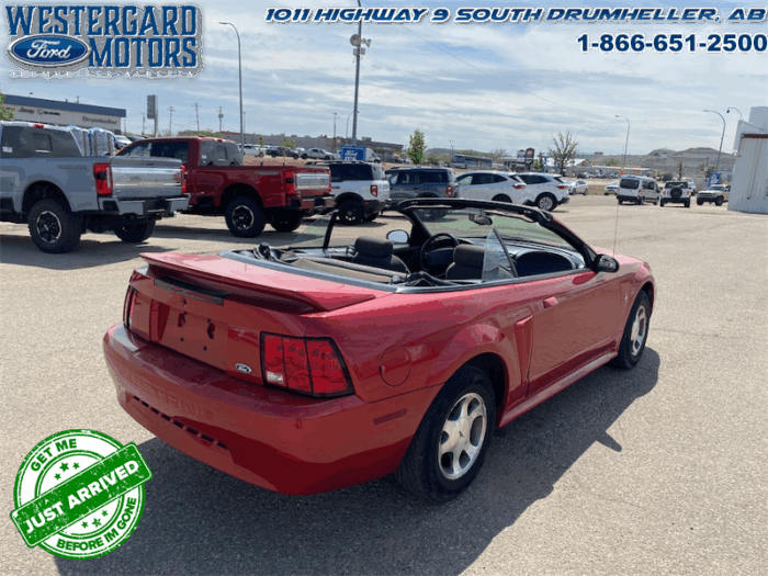 2000 Ford Mustang CONVERTIBLE  - Low Mileage - Image 5