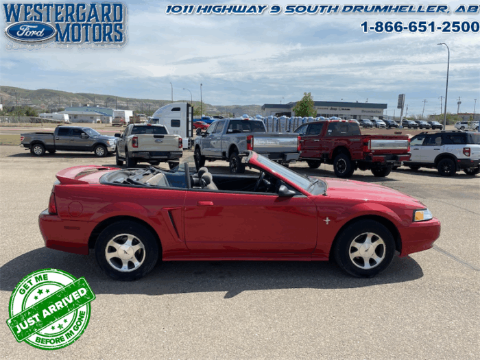 2000 Ford Mustang CONVERTIBLE  - Low Mileage - Image 6