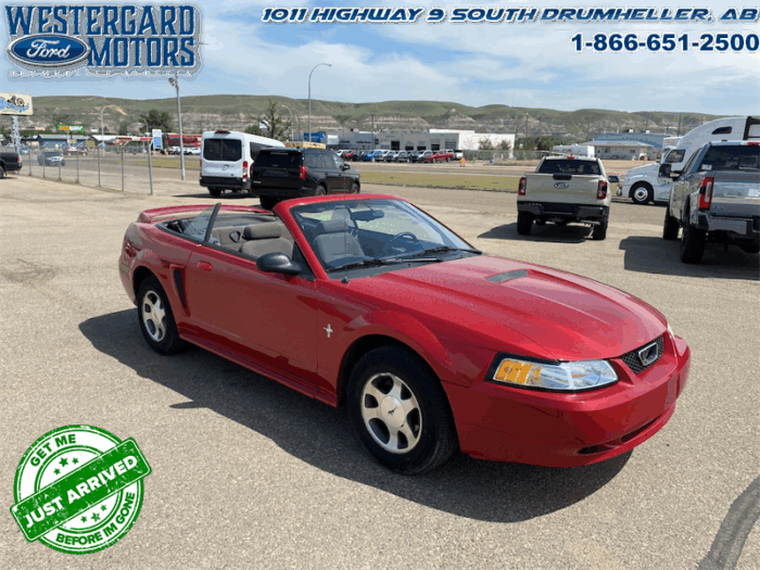 2000 Ford Mustang CONVERTIBLE  - Low Mileage - Image 7