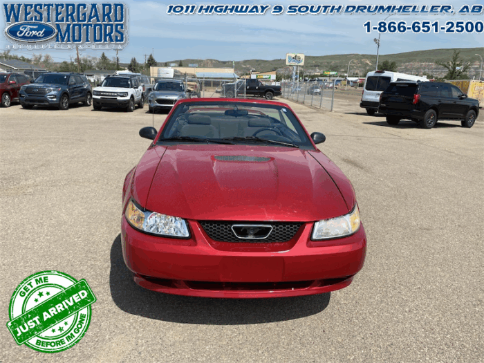 2000 Ford Mustang CONVERTIBLE  - Low Mileage - Image 8