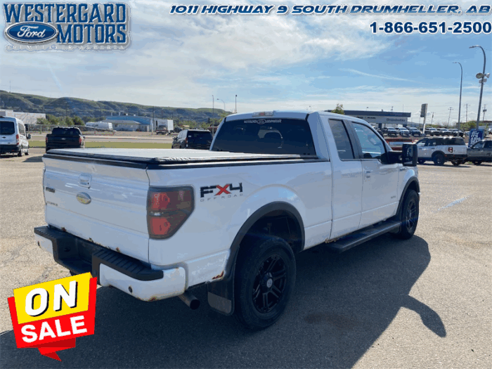 2011 Ford F-150 FX4  - Bluetooth -  SiriusXM - Image 5