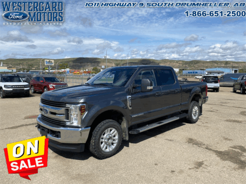 Used Crew Cab 2019 Ford F-250 Super Duty XLT Stone Gray