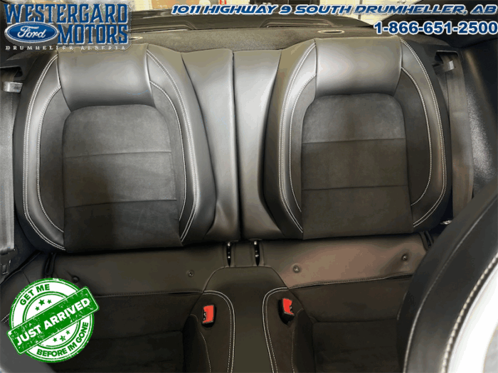 2020 Ford Mustang Shelby GT500  - Brembo Brakes - Image 11