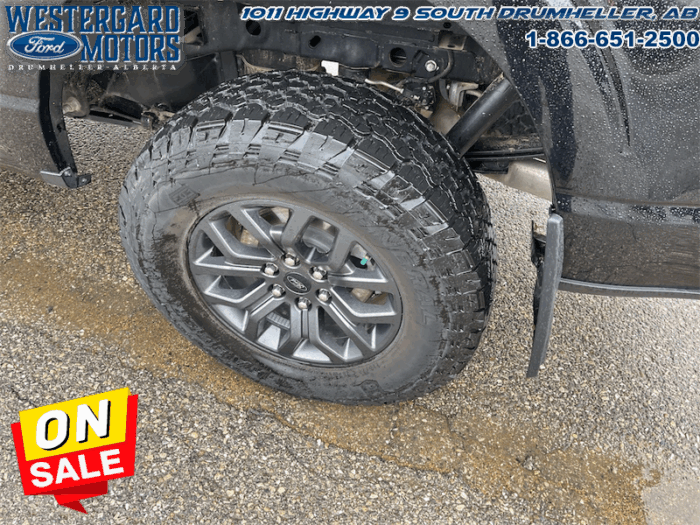 2023 Ford F-150 Tremor  -  Heated Seats - Image 17