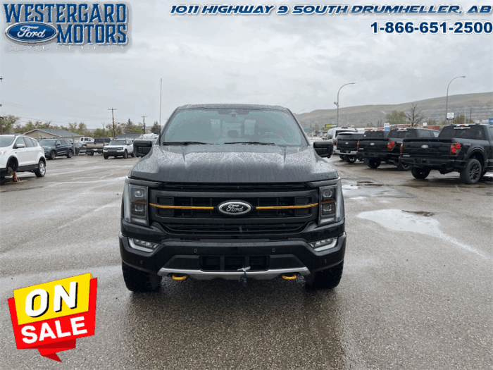 2023 Ford F-150 Tremor  -  Heated Seats - Image 8