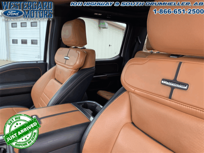 2023 Ford F-350 Super Duty PLATINUM TREMOR - Image 10