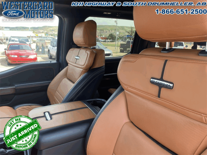 2023 Ford F-350 Super Duty PLATINUM TREMOR - Image 10