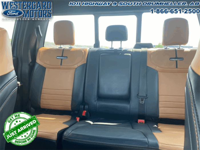 2023 Ford F-350 Super Duty PLATINUM TREMOR - Image 11