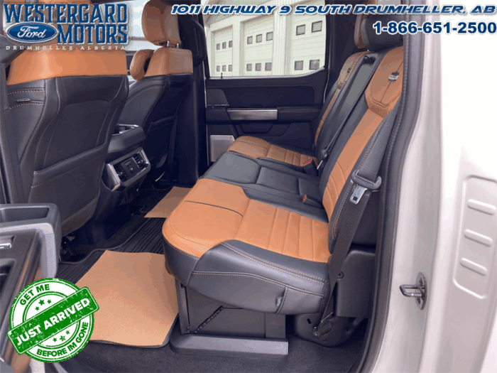 2023 Ford F-350 Super Duty PLATINUM TREMOR - Image 12