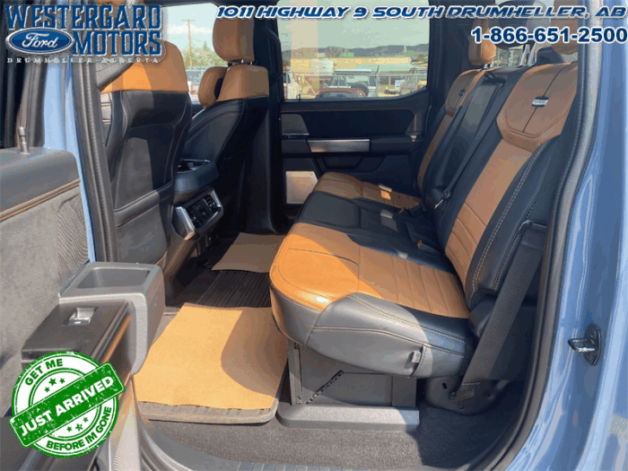 2023 Ford F-350 Super Duty PLATINUM TREMOR - Image 12