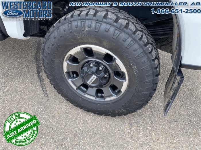 2023 Ford F-350 Super Duty PLATINUM TREMOR - Image 18