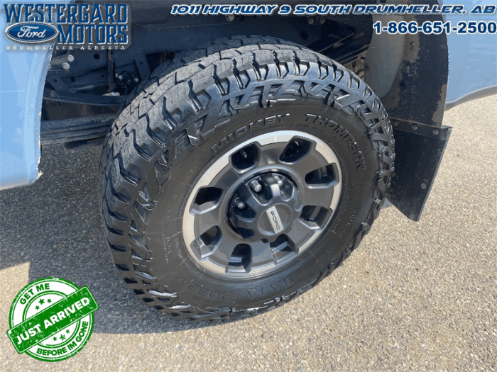 2023 Ford F-350 Super Duty PLATINUM TREMOR - Image 18