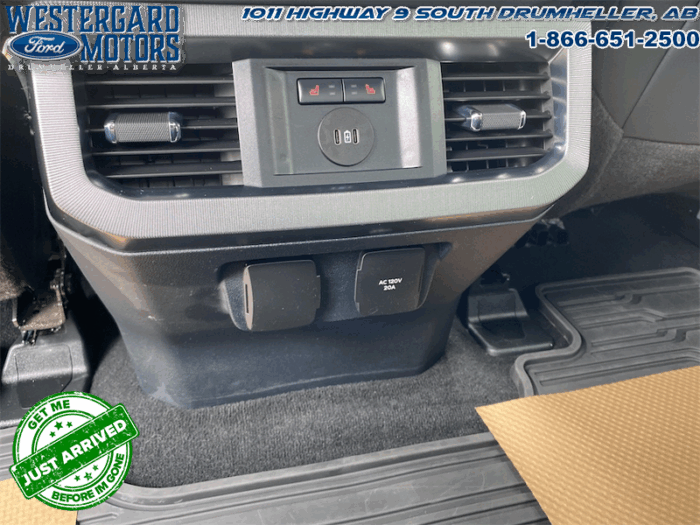 2023 Ford F-350 Super Duty PLATINUM TREMOR - Image 19