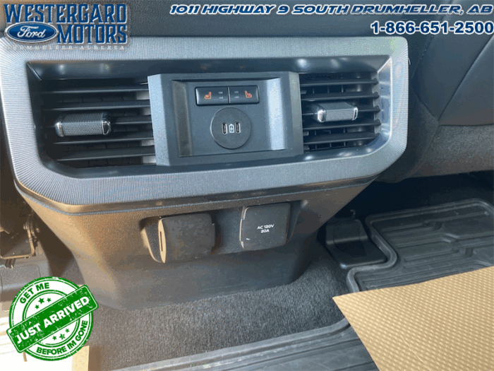 2023 Ford F-350 Super Duty PLATINUM TREMOR - Image 19