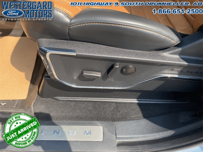 2023 Ford F-350 Super Duty PLATINUM TREMOR - Image 20