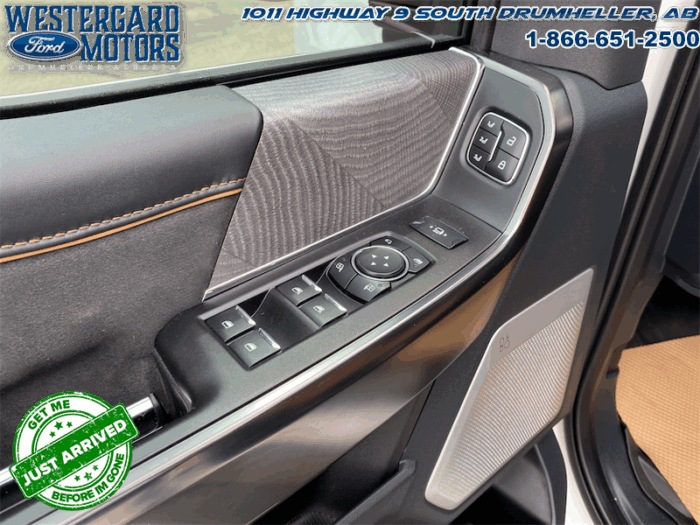 2023 Ford F-350 Super Duty PLATINUM TREMOR - Image 21