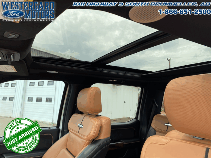 2023 Ford F-350 Super Duty PLATINUM TREMOR - Image 22