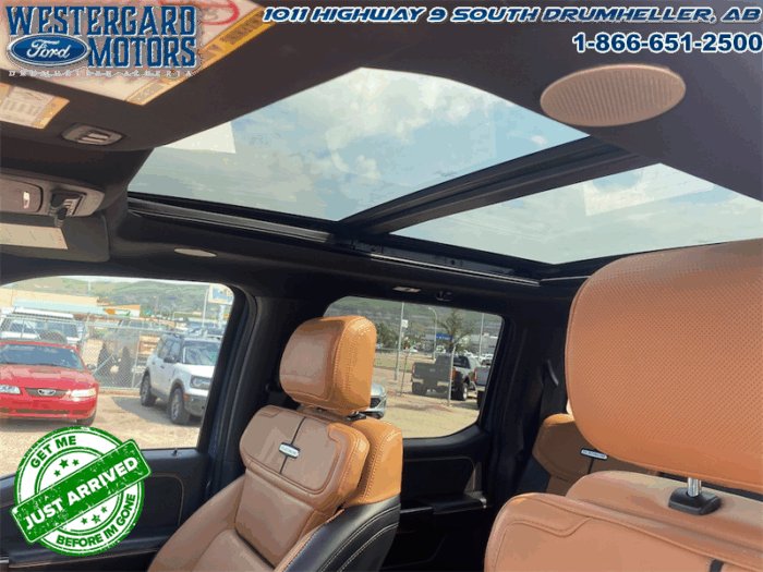 2023 Ford F-350 Super Duty PLATINUM TREMOR - Image 22