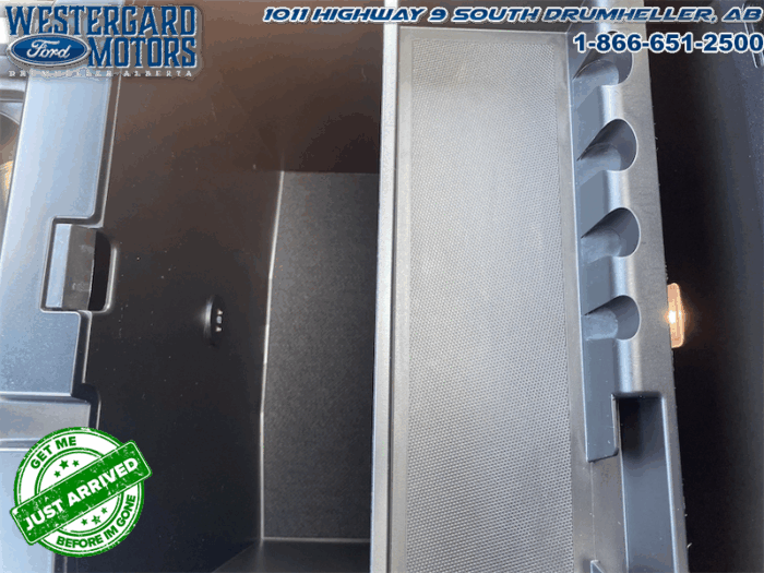 2023 Ford F-350 Super Duty PLATINUM TREMOR - Image 23