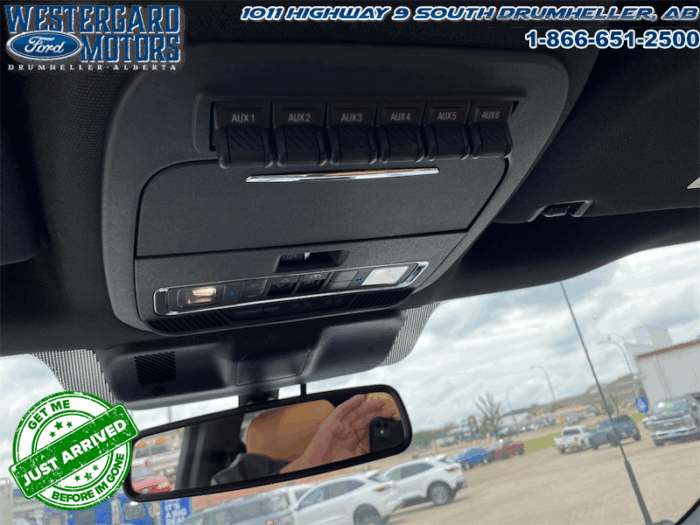 2023 Ford F-350 Super Duty PLATINUM TREMOR - Image 24