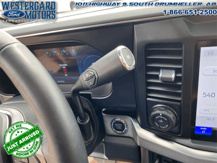2023 Ford F-350 Super Duty PLATINUM TREMOR - Image 25