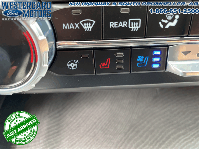 2023 Ford F-350 Super Duty PLATINUM TREMOR - Image 28